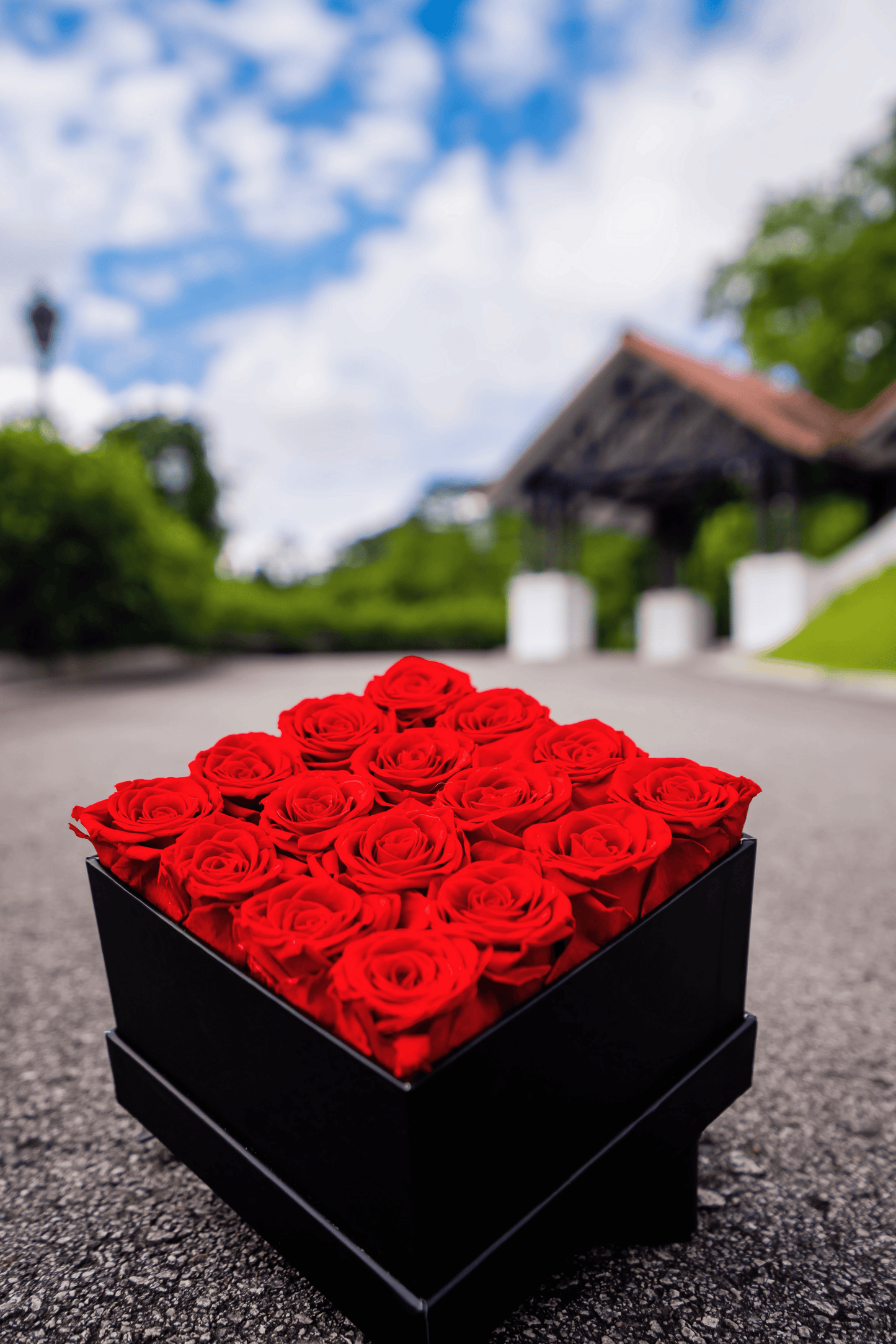 Love Red Rose Box 16 - Rhoel
