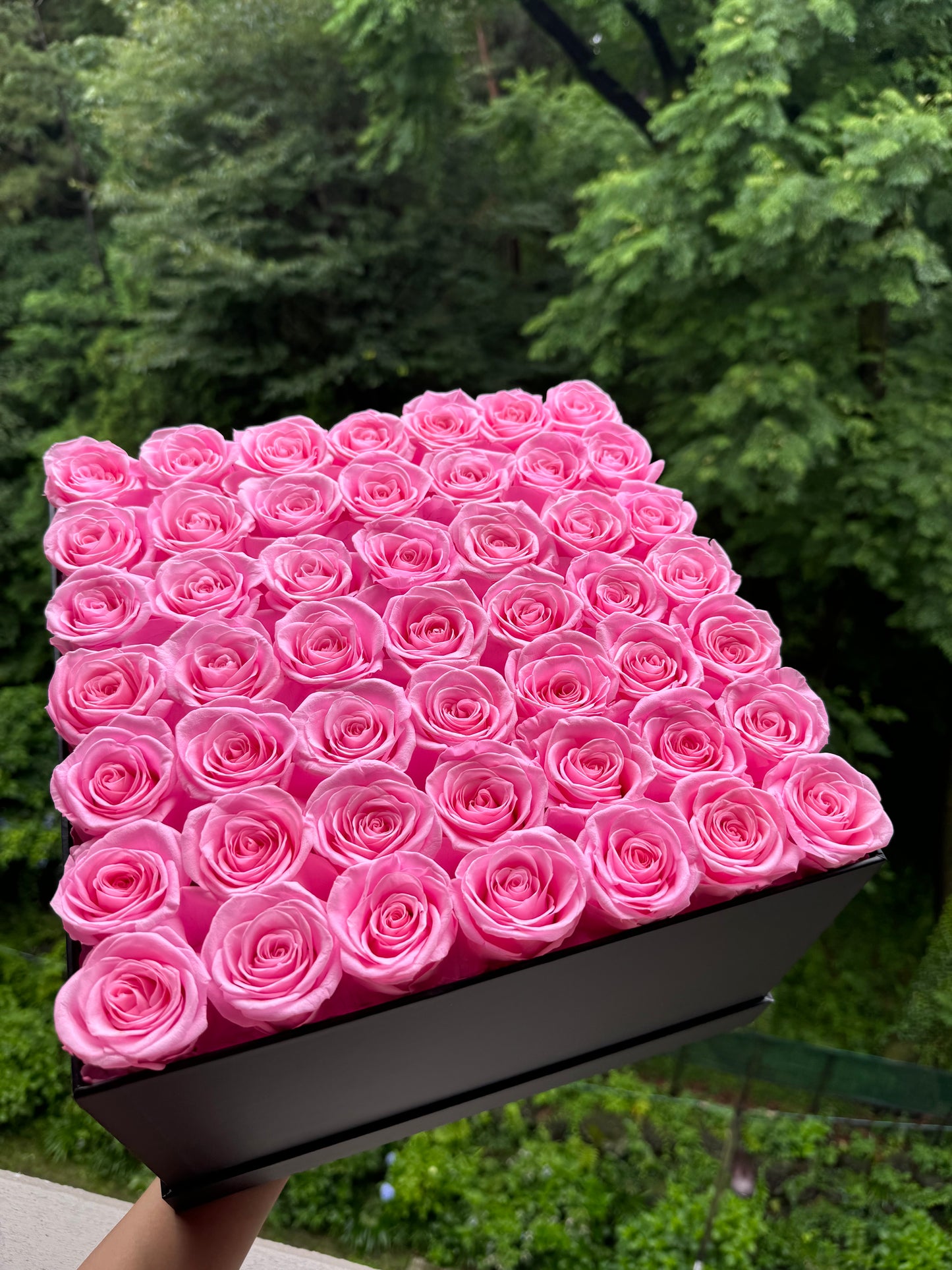 Princess Pink Rose Box 49 - Rhoel