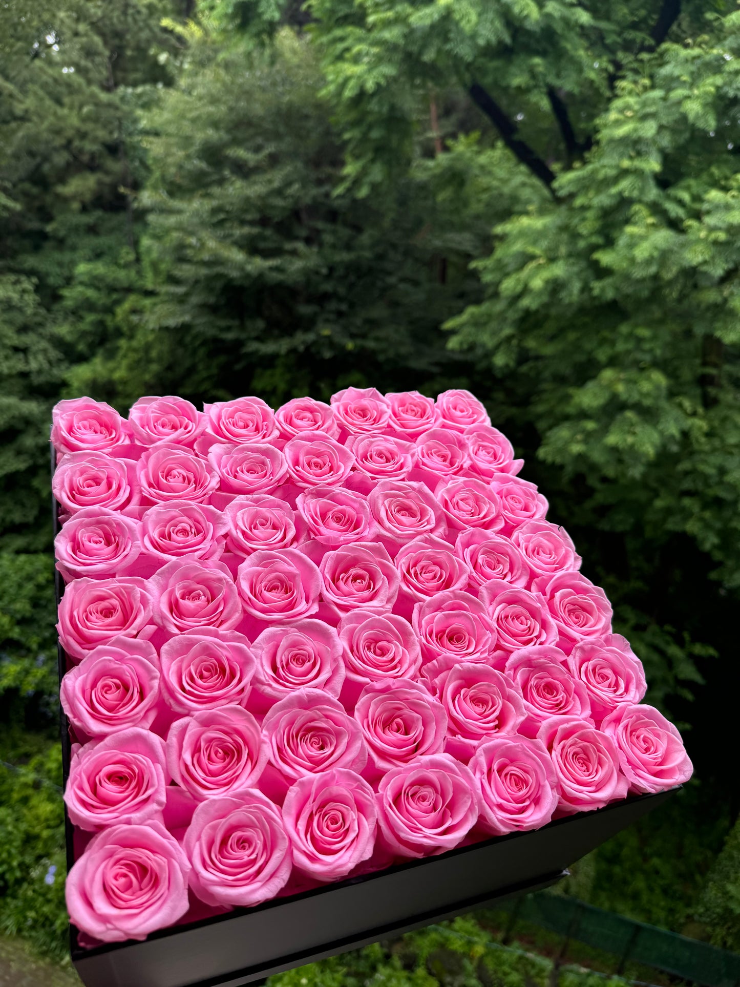 Princess Pink Rose Box 49 - Rhoel