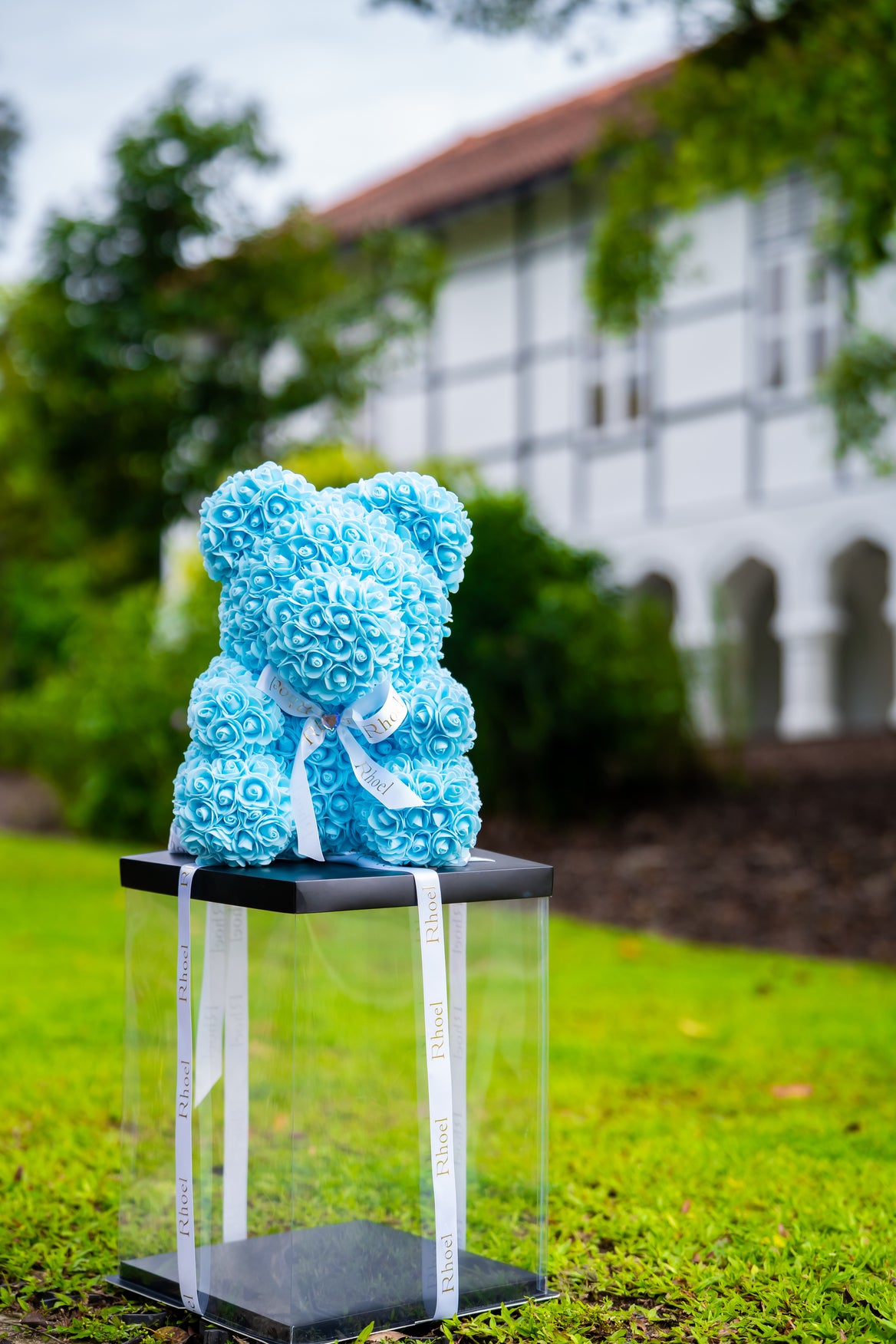 Powder Blue Rose Bear - Rhoel