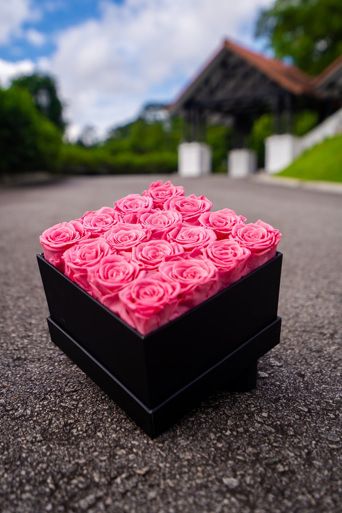 Sweet Pink Rose Box 16 - Rhoel