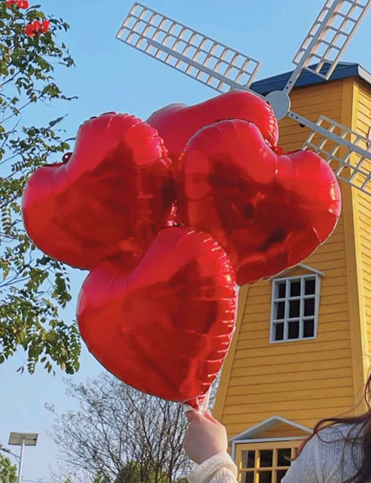 Red Heart Foil Balloon 6pcs