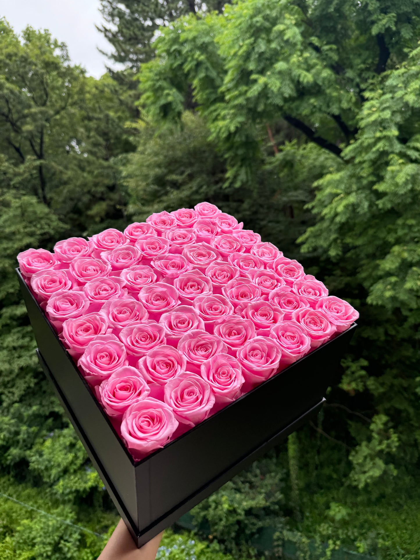 Princess Pink Rose Box 49